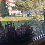 Pod Kogutkiem Na Dolinie Bukowina Tatrzańska