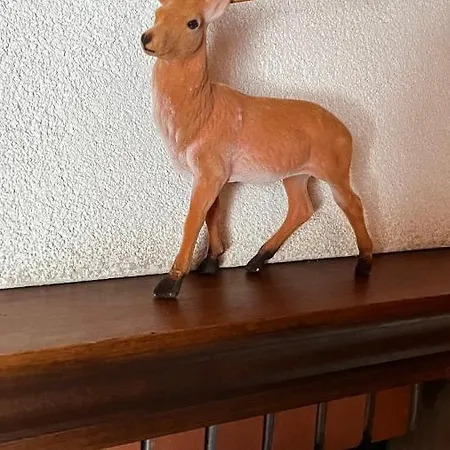 Pod Kogutkiem Na Dolinie Chalet Bukowina Tatrzanska