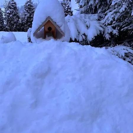 Pod Kogutkiem Na Dolinie