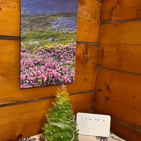 Pod Kogutkiem Na Dolinie Bukowina Tatrzanska
