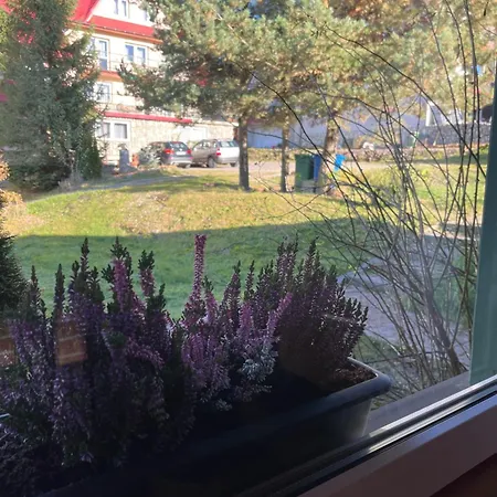 Pod Kogutkiem Na Dolinie Bukowina Tatrzańska